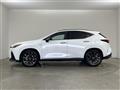 2021 Lexus NX