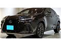 2021 Lexus NX