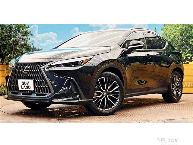 2021 Lexus NX
