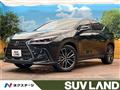 2021 Lexus NX