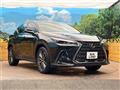 2021 Lexus NX