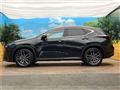 2021 Lexus NX