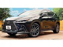 2021 Lexus NX