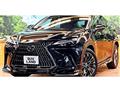 2021 Lexus NX