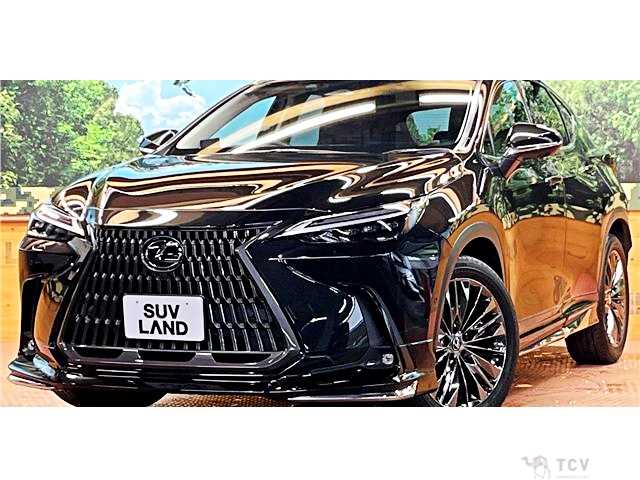 2021 Lexus NX