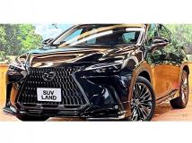 2021 Lexus NX