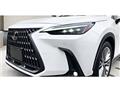 2021 Lexus NX