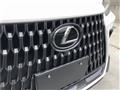 2021 Lexus NX