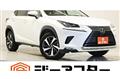 2020 Lexus NX