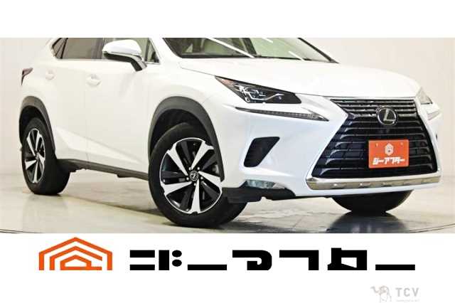 2020 Lexus NX