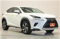 2020 Lexus NX