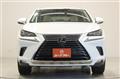 2020 Lexus NX