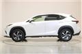 2020 Lexus NX