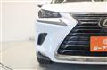 2020 Lexus NX