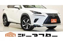 2020 Lexus NX