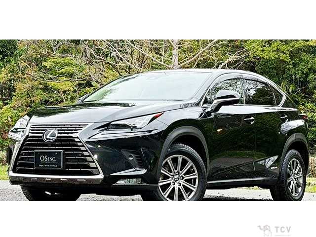 2020 Lexus NX
