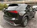 2020 Lexus NX