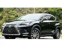 2020 Lexus NX