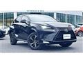 2020 Lexus NX