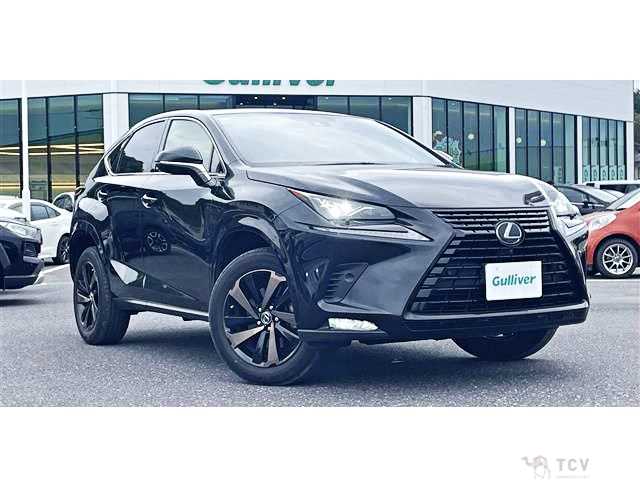 2020 Lexus NX