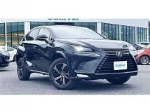 2020 Lexus NX