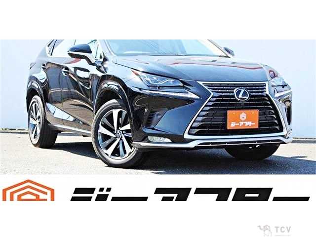 2020 Lexus NX