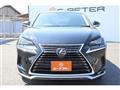 2020 Lexus NX