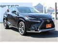 2020 Lexus NX