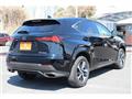 2020 Lexus NX