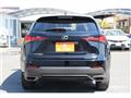 2020 Lexus NX