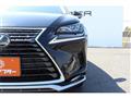 2020 Lexus NX