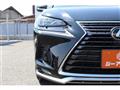 2020 Lexus NX