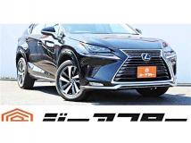 2020 Lexus NX