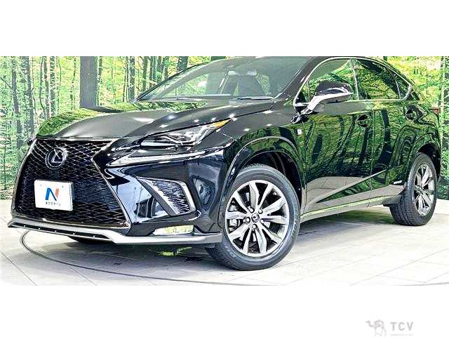 2020 Lexus NX
