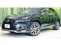 2020 Lexus NX