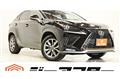 2020 Lexus NX