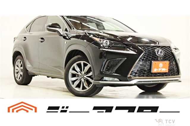 2020 Lexus NX