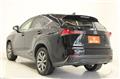 2020 Lexus NX