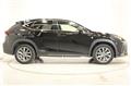 2020 Lexus NX