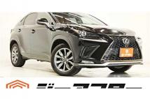 2020 Lexus NX