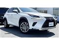 2020 Lexus NX