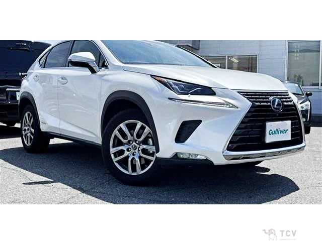 2020 Lexus NX