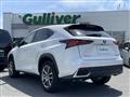 2020 Lexus NX