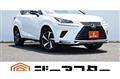 2020 Lexus NX