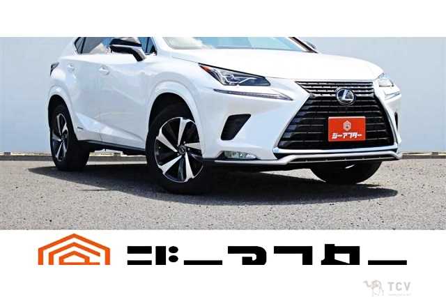 2020 Lexus NX