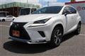 2020 Lexus NX