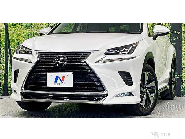 2020 Lexus NX