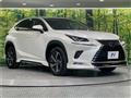 2020 Lexus NX