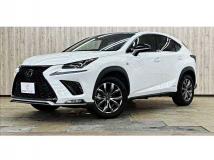 2020 Lexus NX