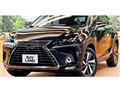 2020 Lexus NX